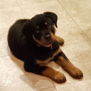 Meet your Posher, Aubrey